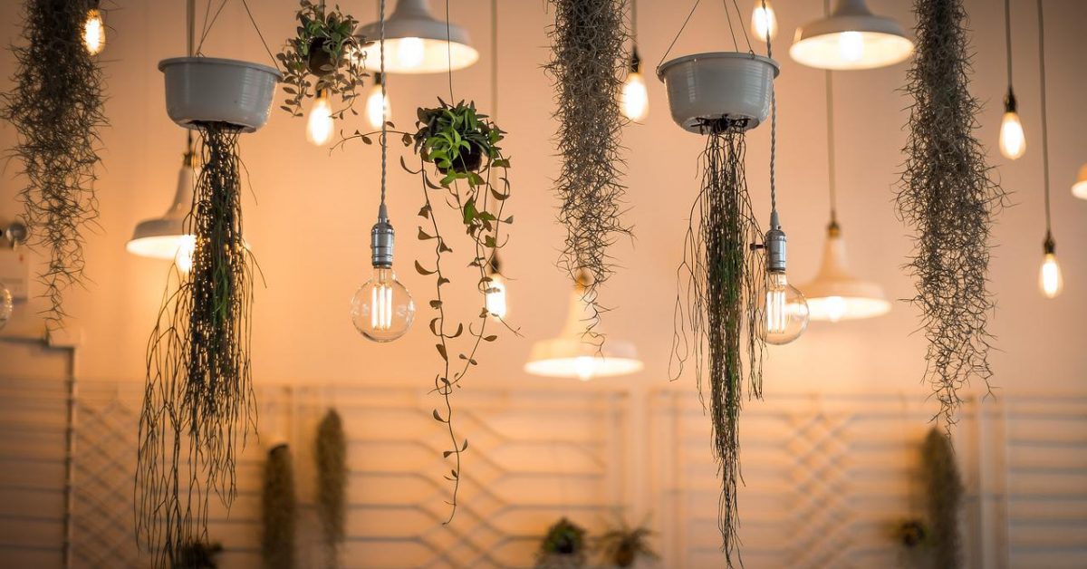lights-decoration-hanging-1867437 lights, decoration, hanging-1867437.jpg