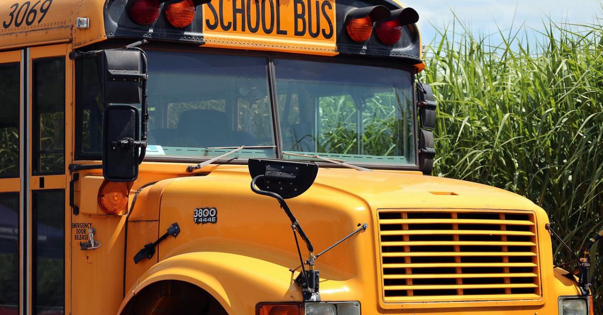 school-bus-school-bus-4406479 school bus, school, bus-4406479.jpg